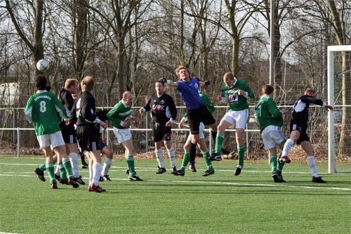 Zeerobben - Sc. Genemuiden (Foto Helmich Lubberts)